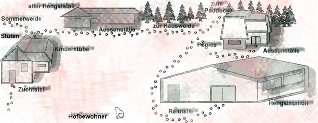 Besichtigung des Nornenhofs