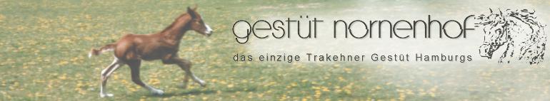 Gest�t Nornenhof, das einzige Trakehner Gest�t Hamburgs!