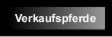 Nachwuchspferde zum Verkauf