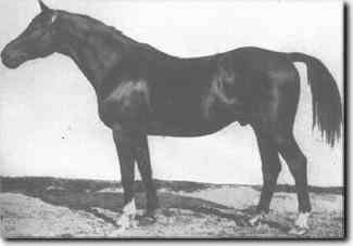 Jagdheld